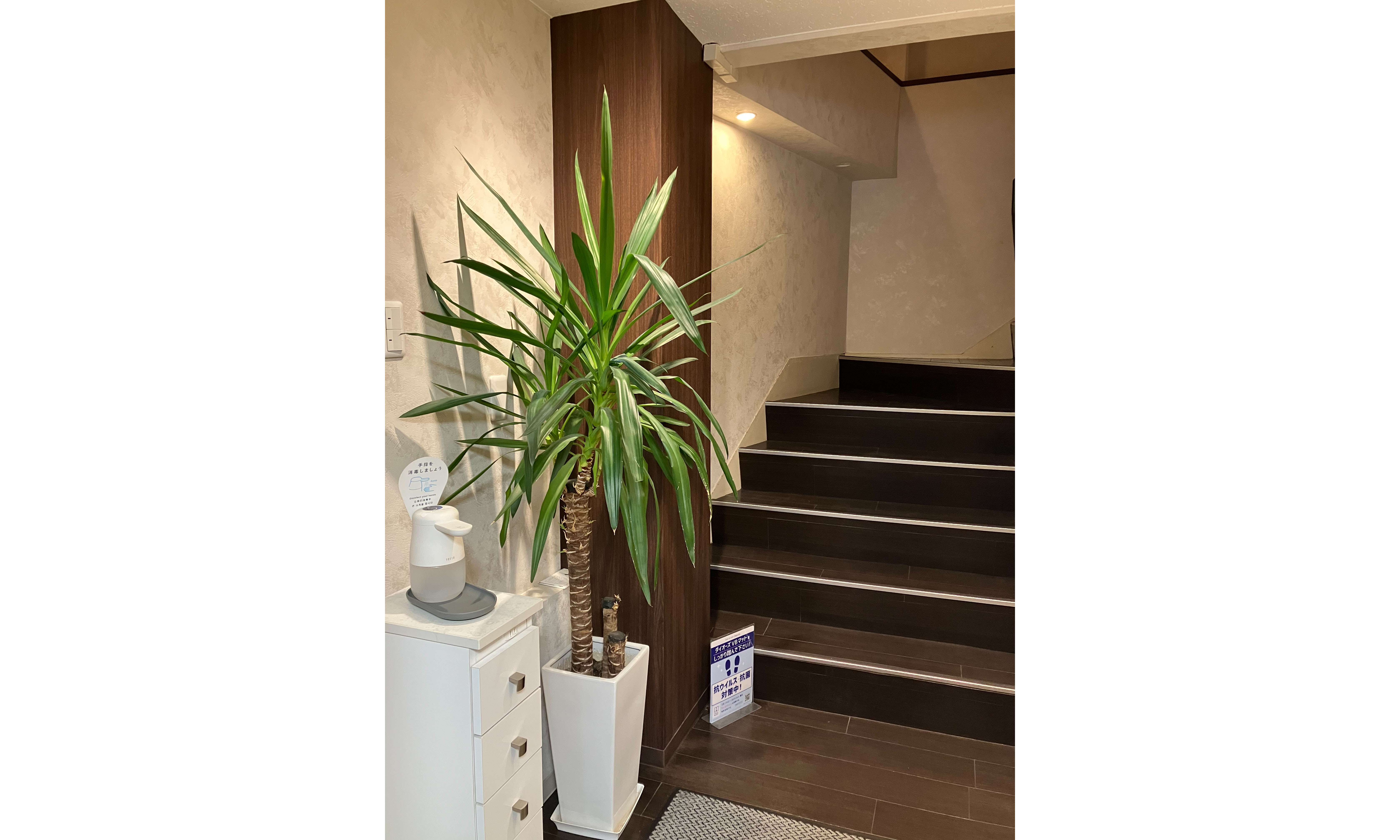 税理士法人　シンフォニーの正社員 税理士・税務スタッフ 会計事務所・税理士法人の求人情報イメージ2